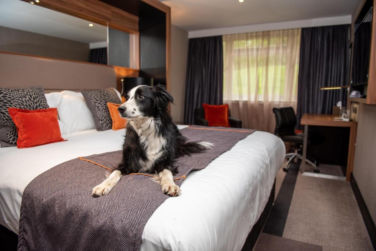 Отель Crowne Plaza Gerrards Cross By Ihg Биконсфилд Экстерьер фото
