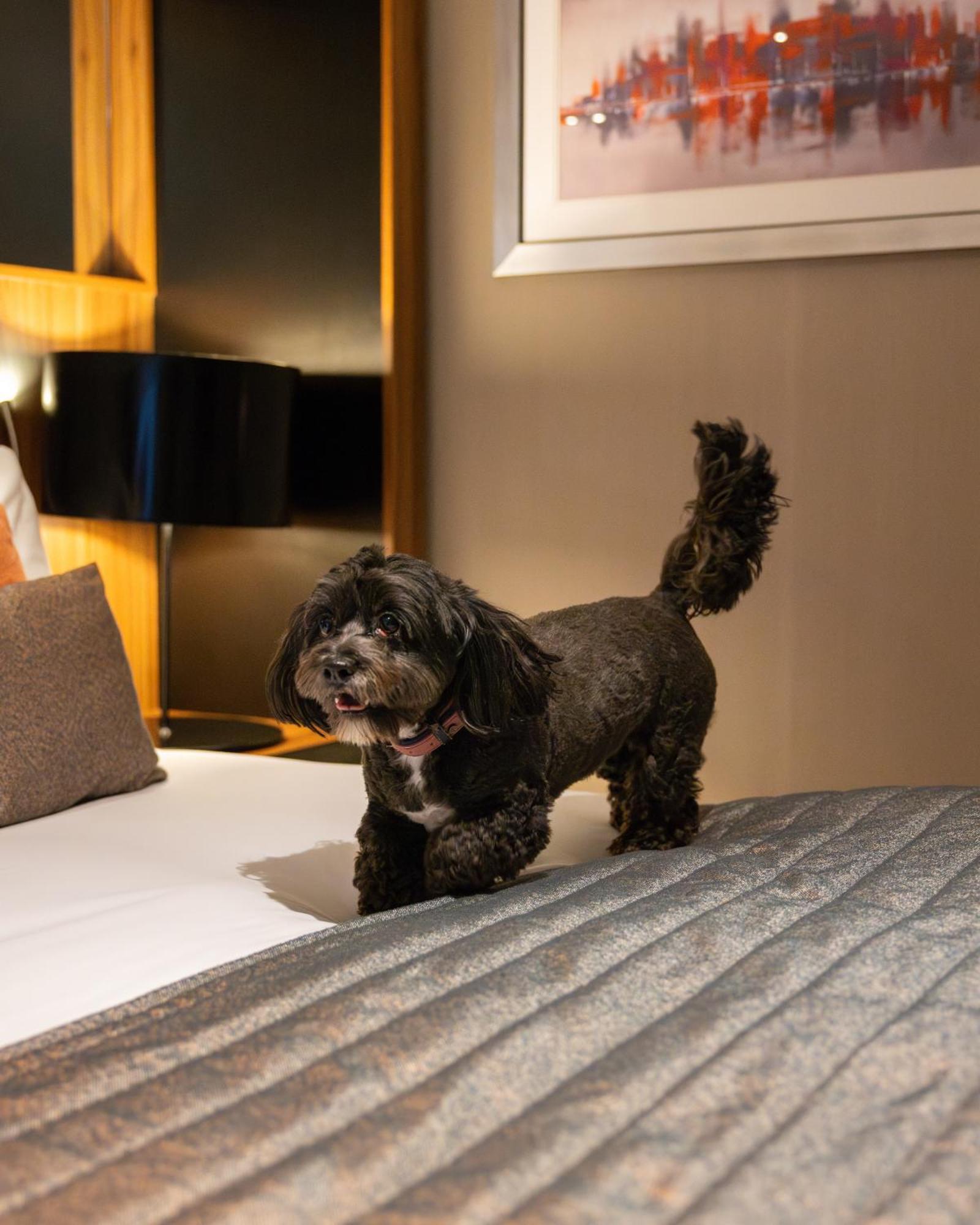 Отель Crowne Plaza Gerrards Cross By Ihg Биконсфилд Экстерьер фото